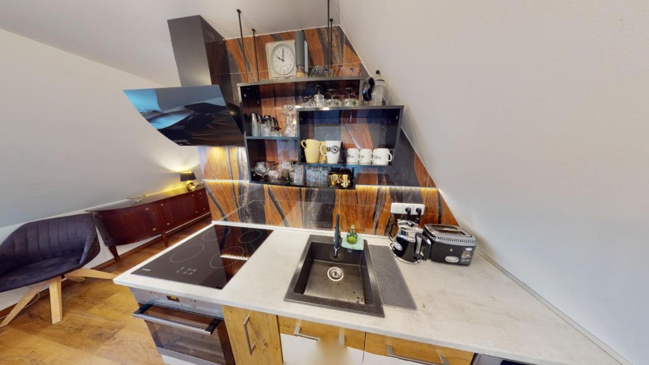 Apartman Atelier Vary V Nove Zrekonstruovanem Dome Карловы Вары Экстерьер фото