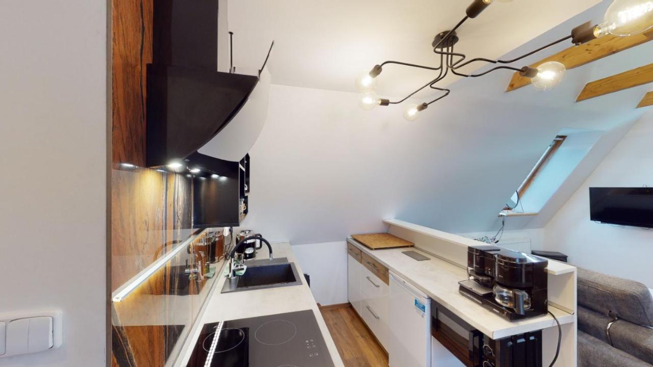 Apartman Atelier Vary V Nove Zrekonstruovanem Dome Карловы Вары Экстерьер фото